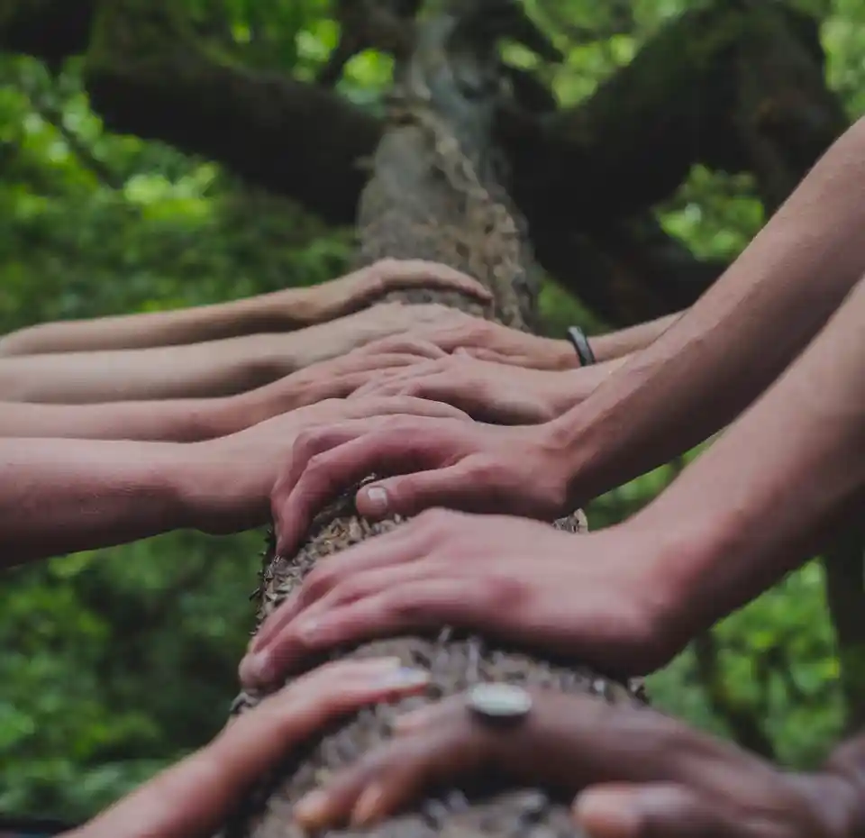 Varias manos sobre un tronco de árbol