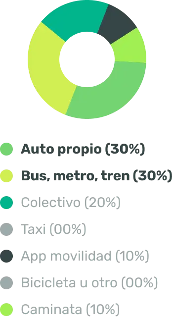 Gráfico de anillos con el tipo de transporte